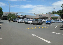 Canned-Art Solutions