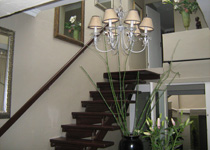 Canned-Art Solutions